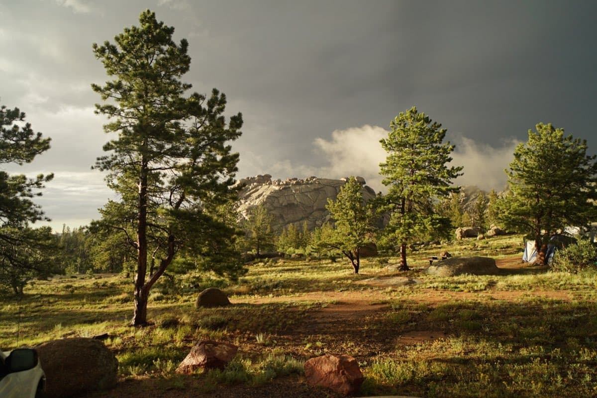 Turtle Rock rising behind pine trees at Vedauwoo Campground after a storm.