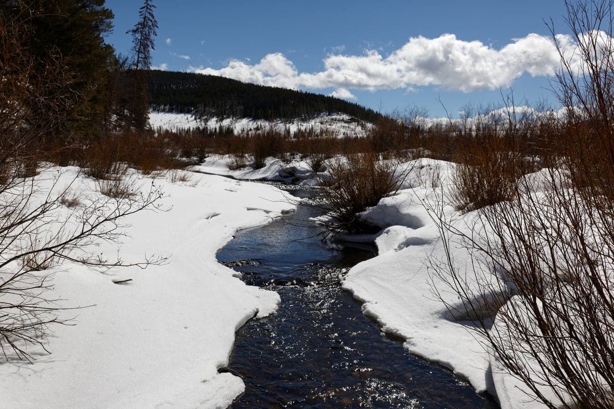 View of Colorado State Forest 3-11