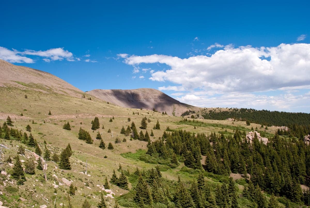 Greenhorn Mountain and forested slopes in the San Isabel National Forest.