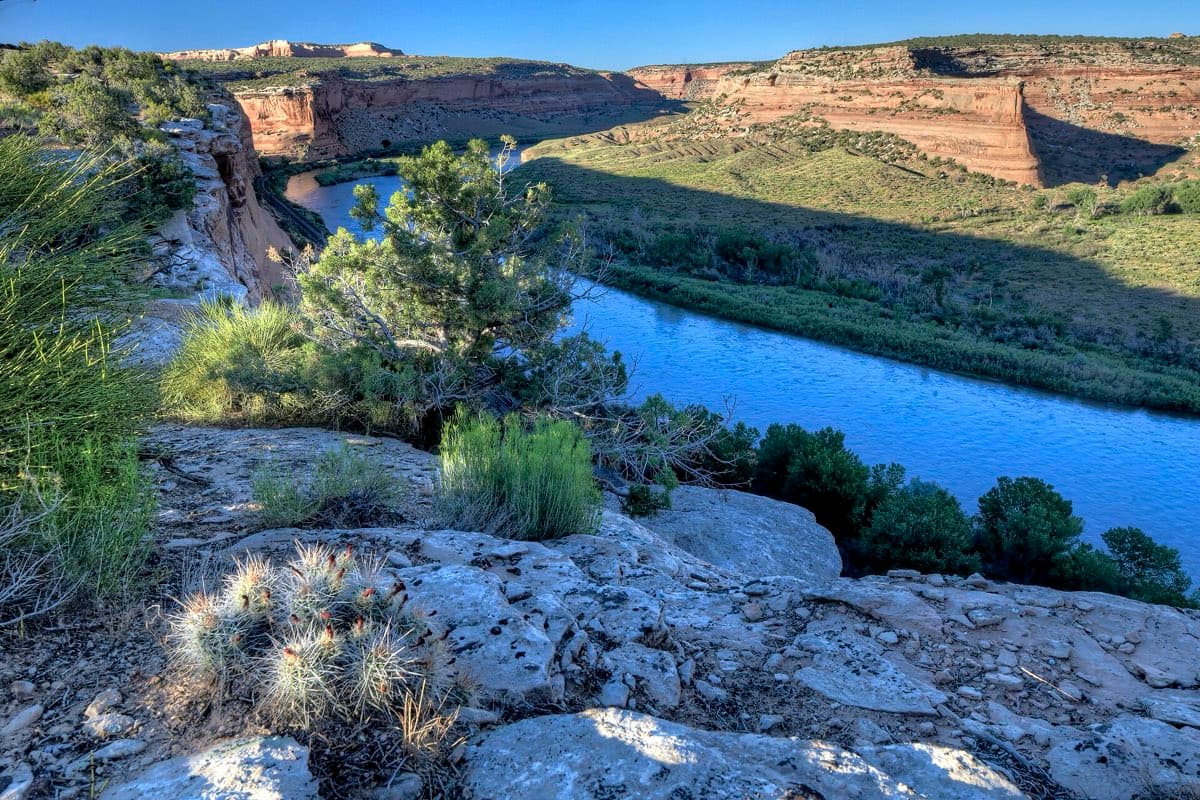 The Colorado River bends through the red cliffs and green river corridor of Ruby–Horsethief Canyon west of Fruita.