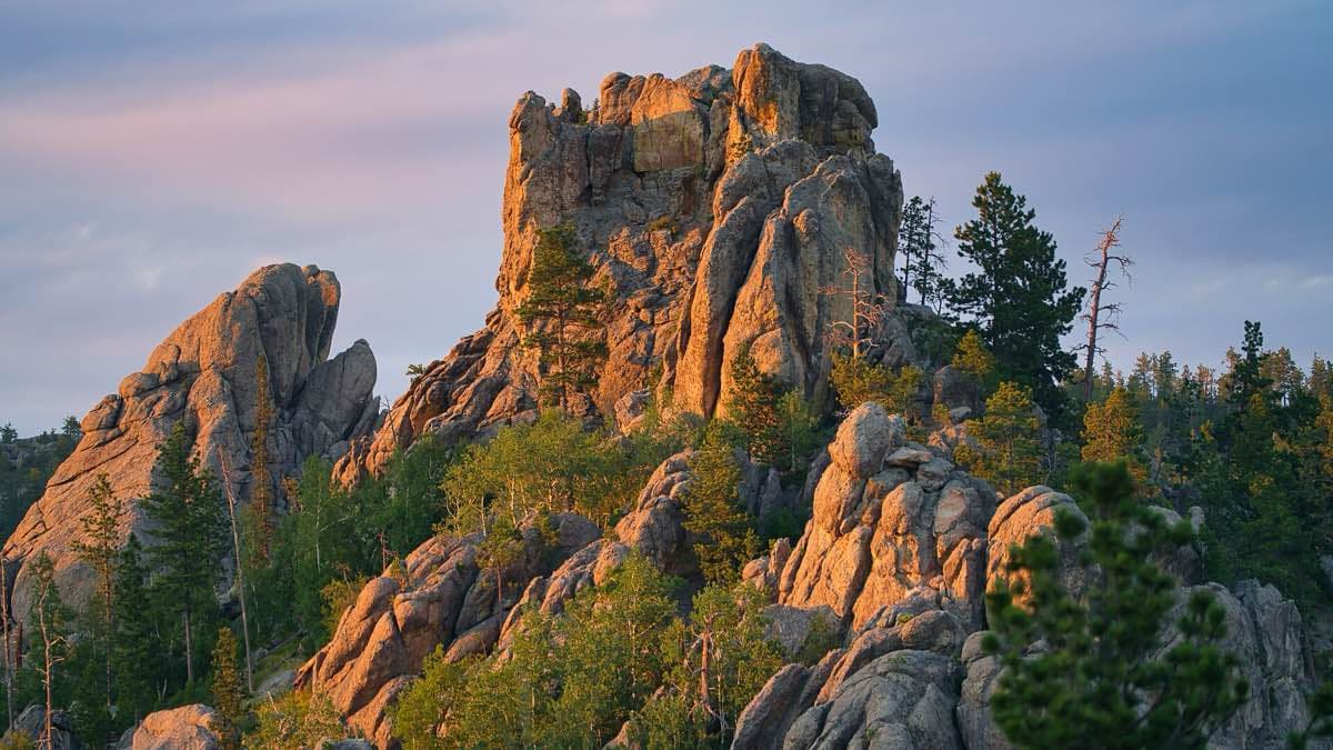 Forested Black Hills slopes and a calm lake in Custer State Park at evening.