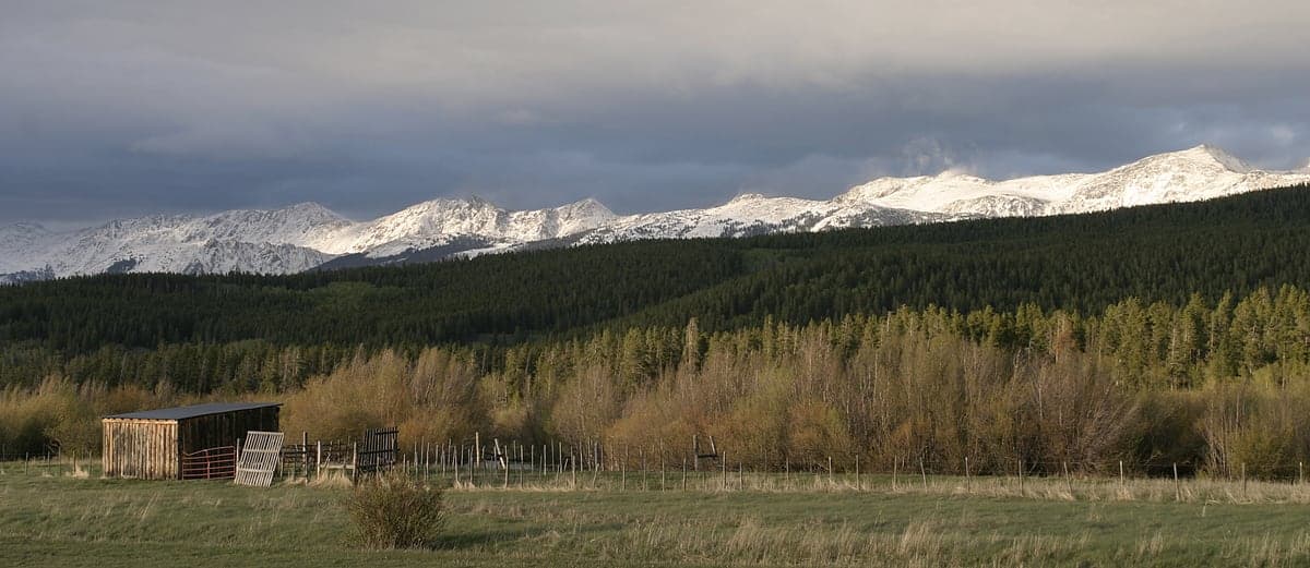 Snowy Rawah Wilderness peaks above a rustic pasture and forest