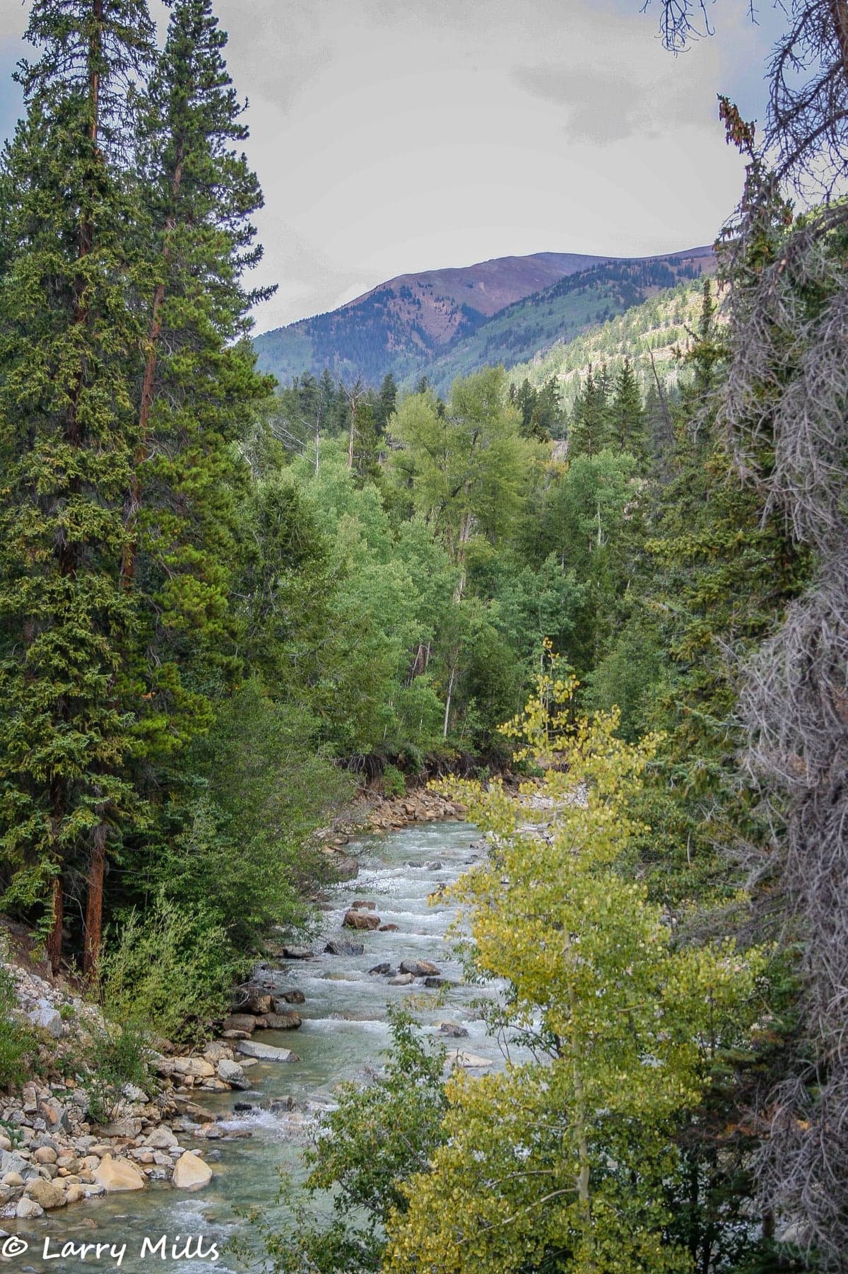 Landscape view of Independence Pass near Alpine forest in the Leadville & Twin Lakes region.