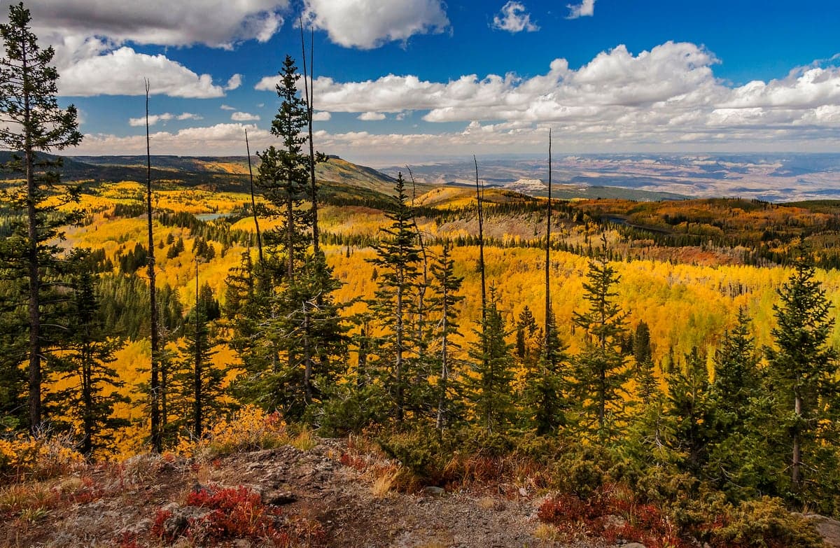 View of Grand Mesa Autumn by George Welik