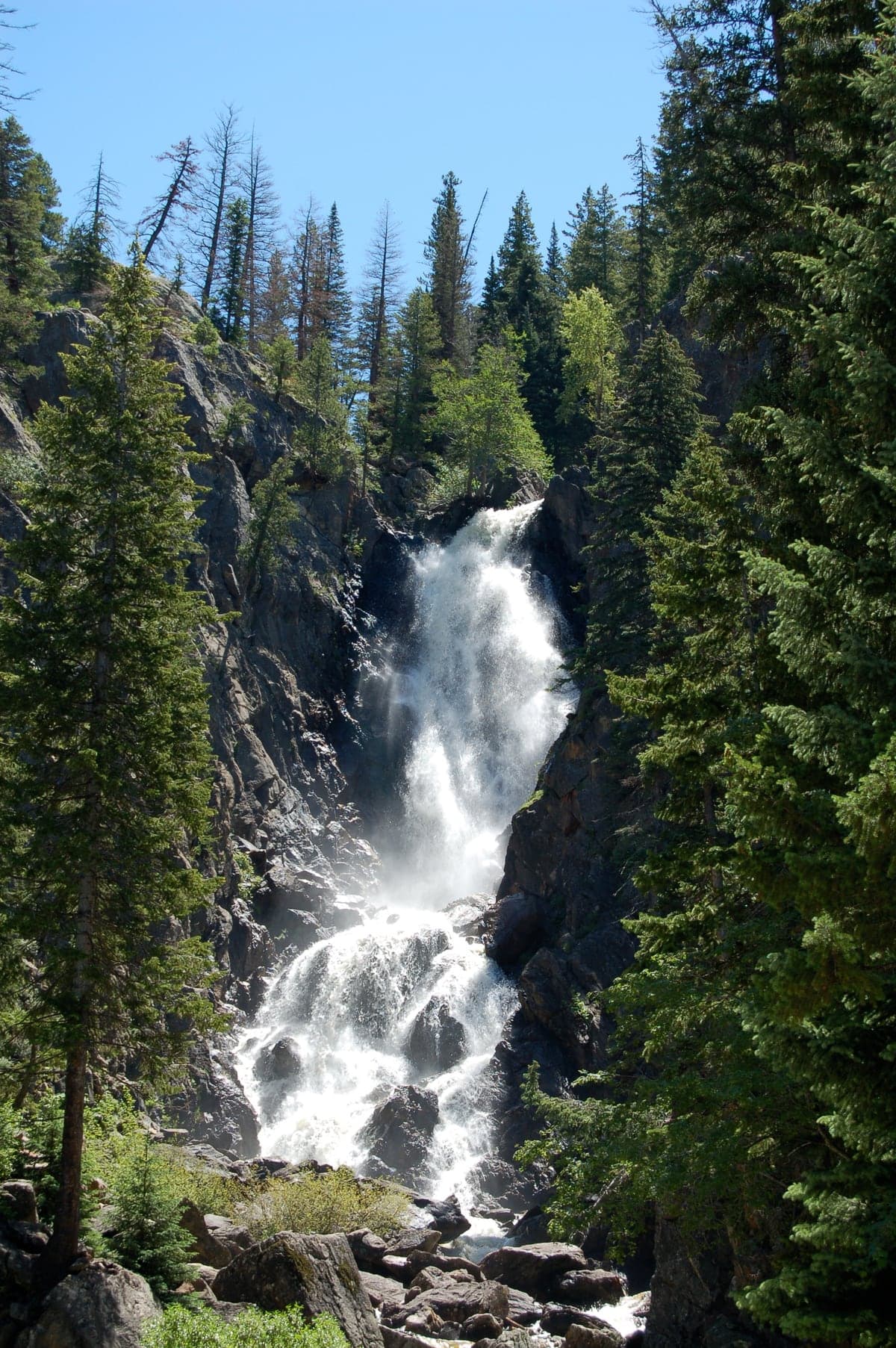 Landscape view of Fish Creek Falls in the Steamboat & Yampa Valley region.