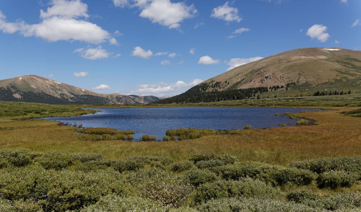 A broad alpine basin and mountain ridges at Guanella Pass in summer.