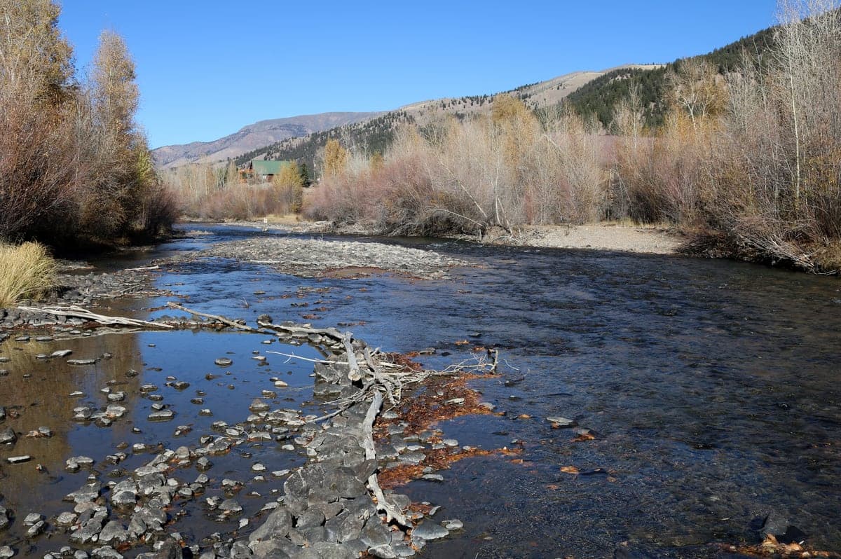 The Lake Fork Gunnison River flows past autumn shrubs and forested slopes in Lake City.