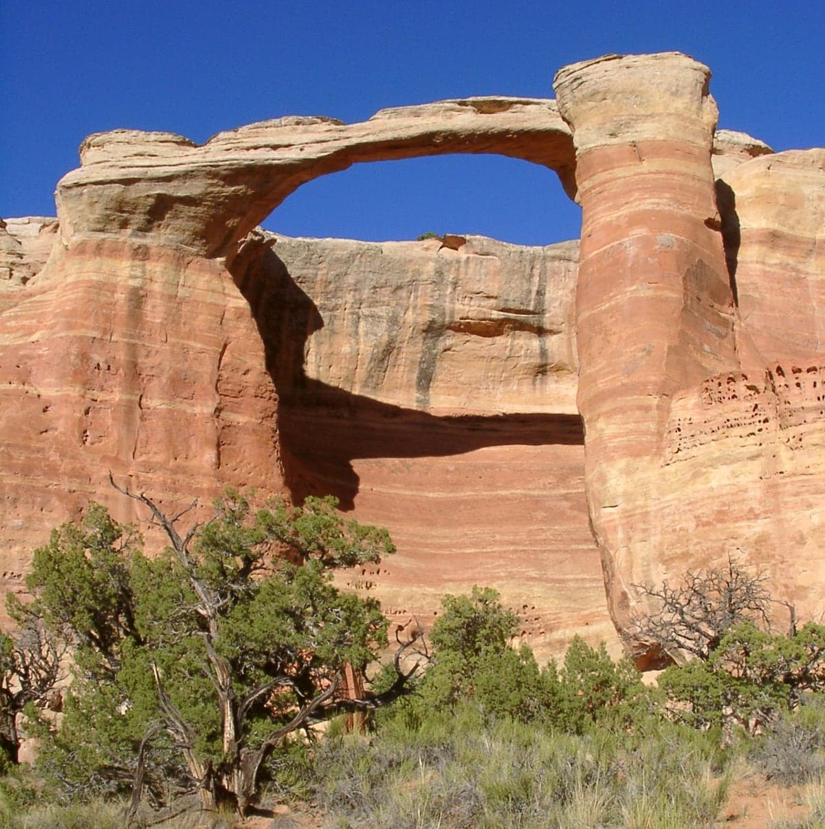 Landscape view of East Rim Arch near Rattlesnake Canyon in the Fruita, Grand Junction & Colorado National Monument region.