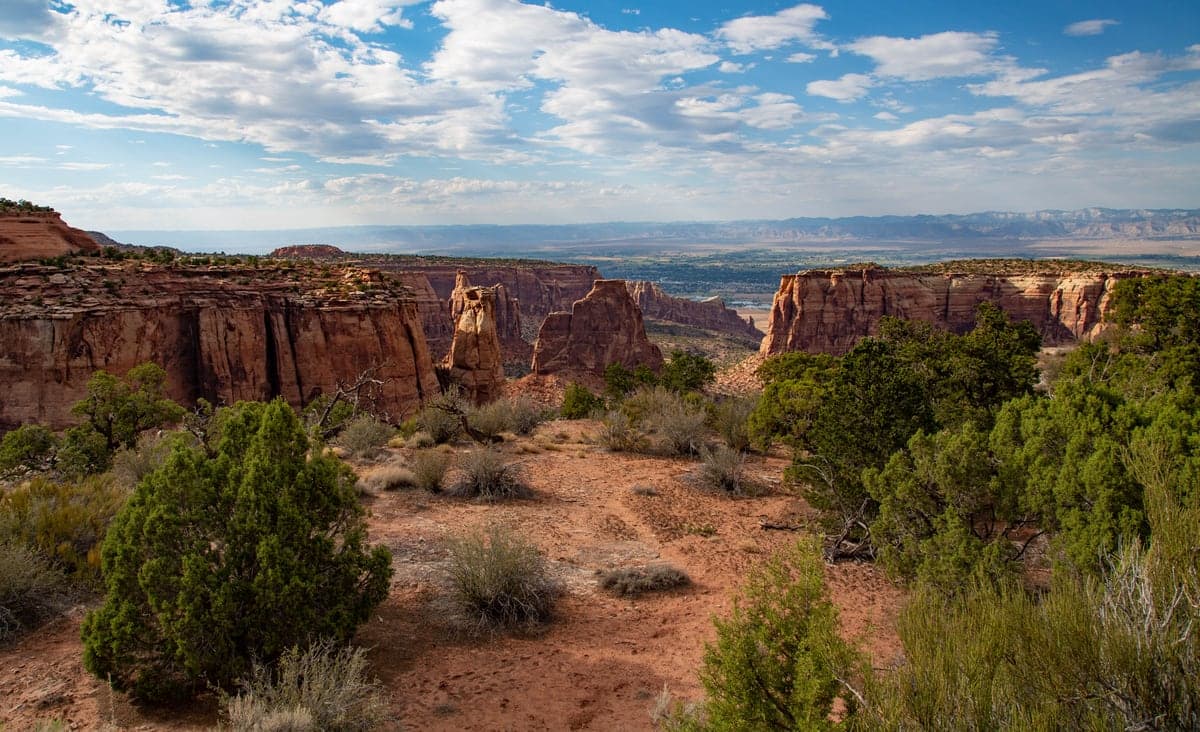 Red sandstone cliffs rise beside Rim Rock Drive in Colorado National Monument.