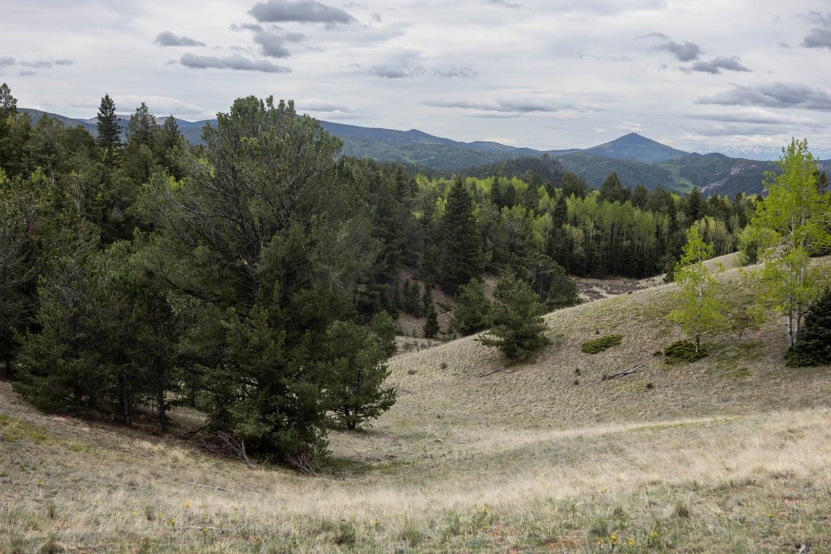View of A morning at Mueller State Park