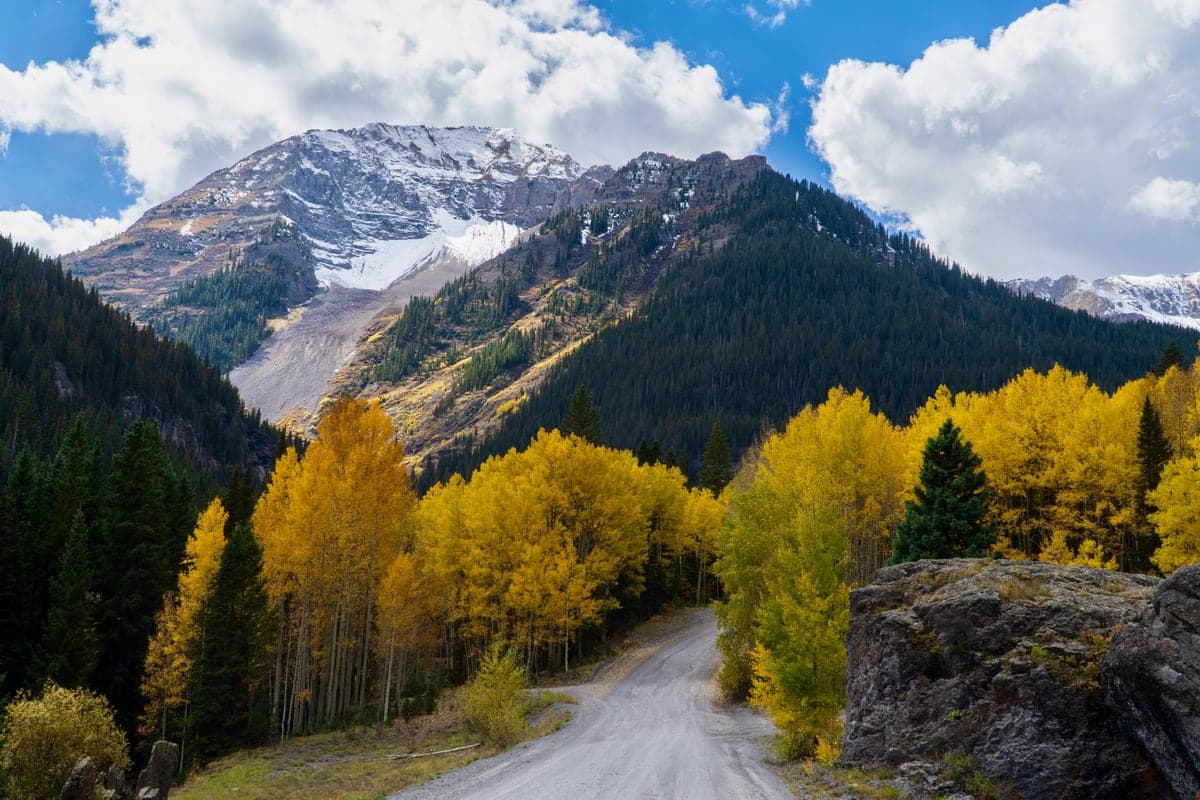 Autumn color covers Yankee Boy Basin below United States Mountain near Ouray.