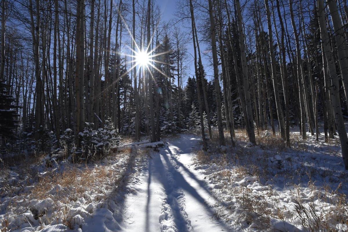 Snow covers a forest trail along Lake Isabel in San Isabel National Forest.