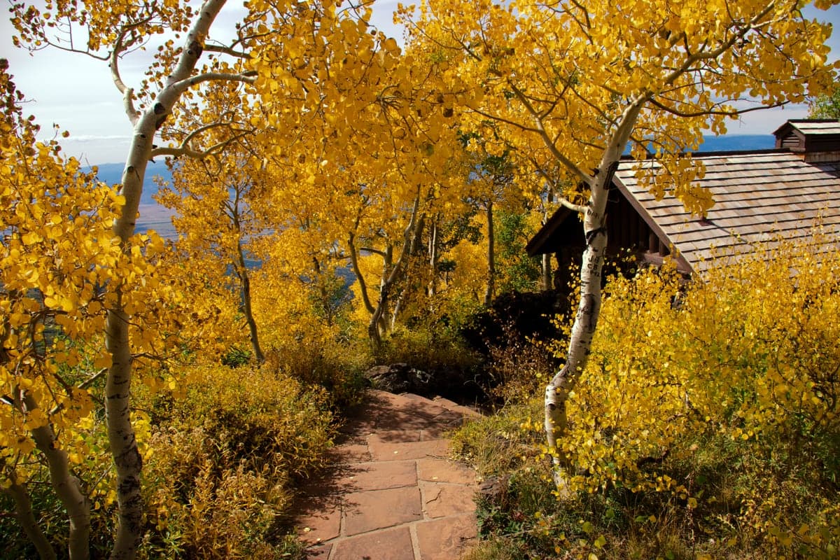 A stone path winding through golden aspens near Lands End on Grand Mesa