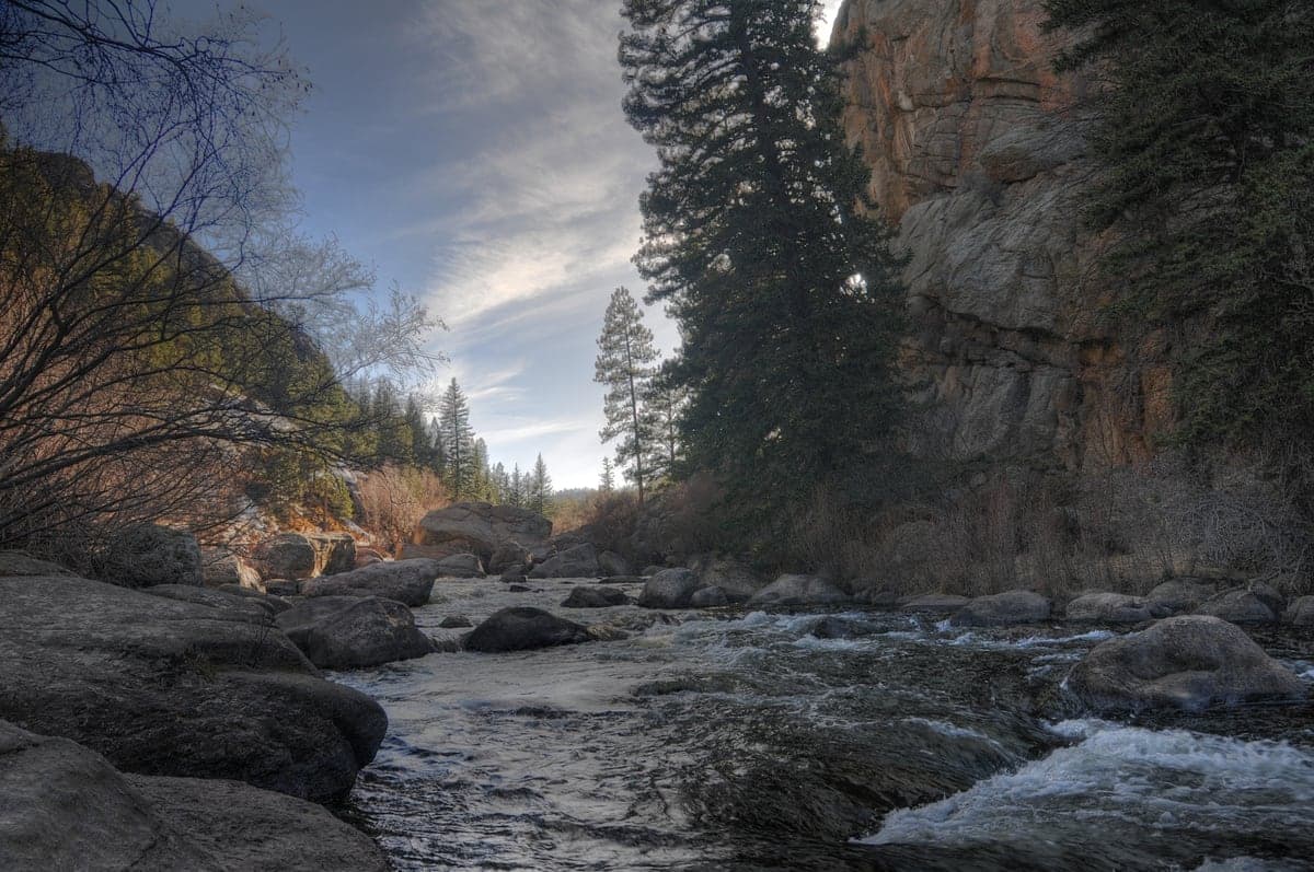 Landscape view of Eleven Mile Canyon near South Platte River in the Lake George & Eleven Mile region.