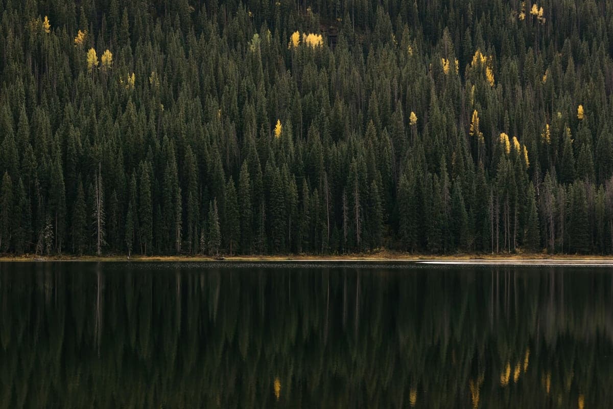 Piney Lake reflecting forested slopes and the Gore Range near Vail
