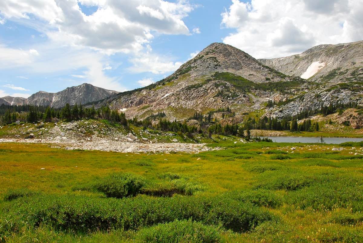 Rocky Sugarloaf Mountain rises above open alpine vegetation in Wyoming's Snowy Range.