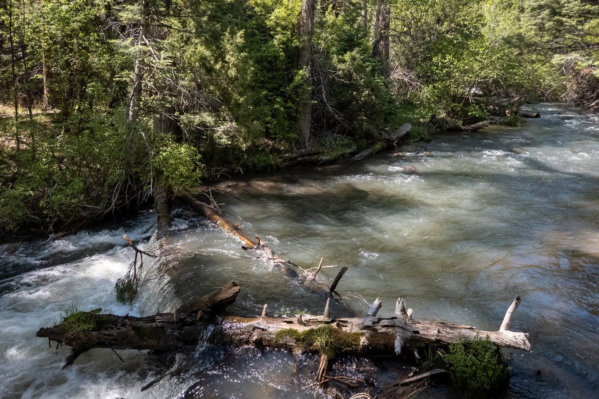 Rocky forested canyon terrain in Cimarron Canyon State Park, New Mexico.
