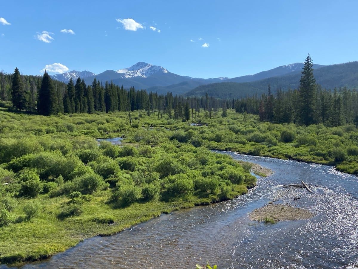 Lush vegetation lining a river beneath the mountains in Winter Park, Colorado.