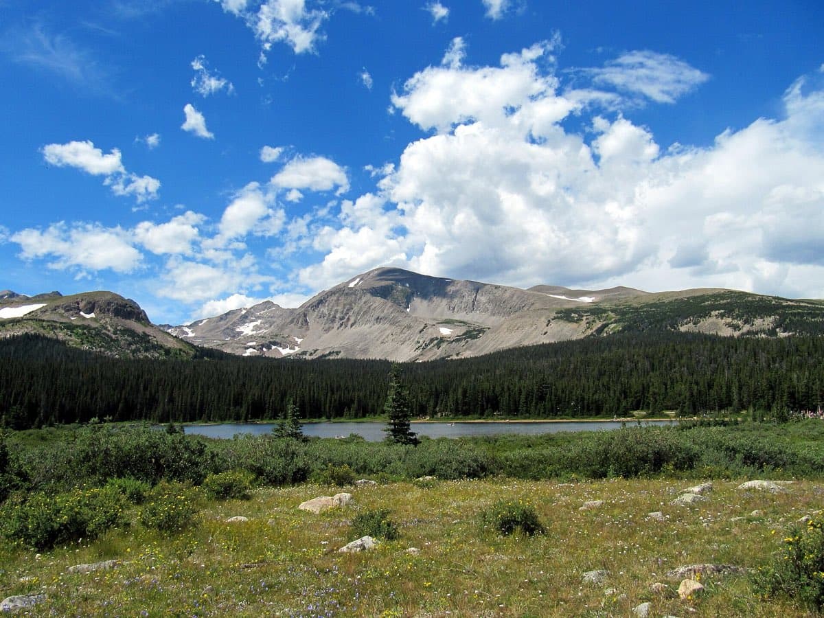 Brainard Lake below alpine ridges, evergreen forest, and a summer wildflower meadow.