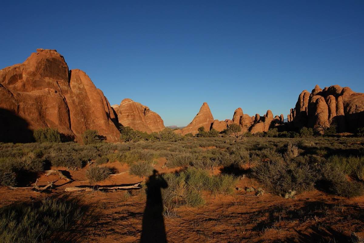 Red sandstone fins and desert vegetation in the Devils Garden area of Arches National Park.