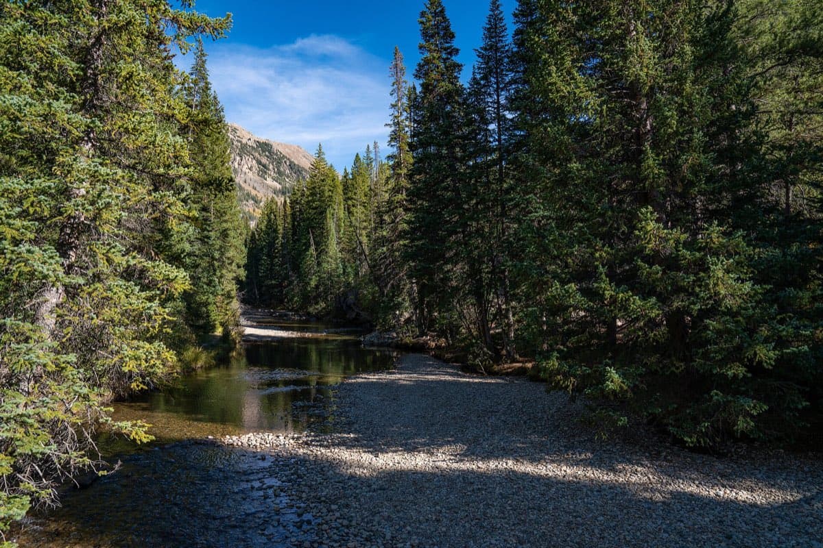 The upper Roaring Fork River winds through spruce forest below a rocky mountain slope near the Grottos Day Use Area on Independence Pass.