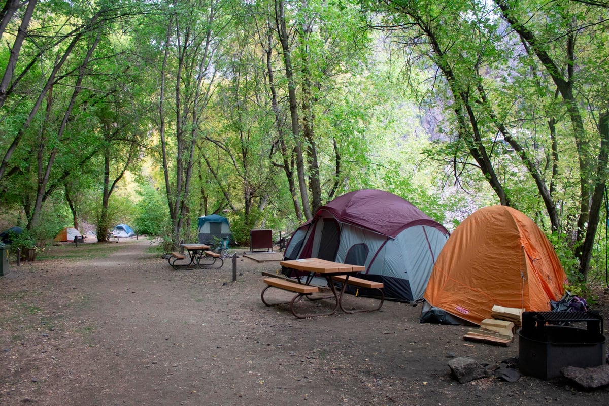 Walk-in tent sites beneath leafy trees at East Portal Campground