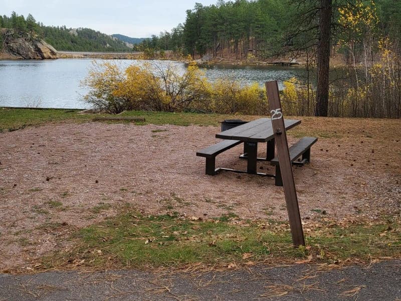 Picnic table and fire ring at lakeside site 25 in Horsethief Lake Campground