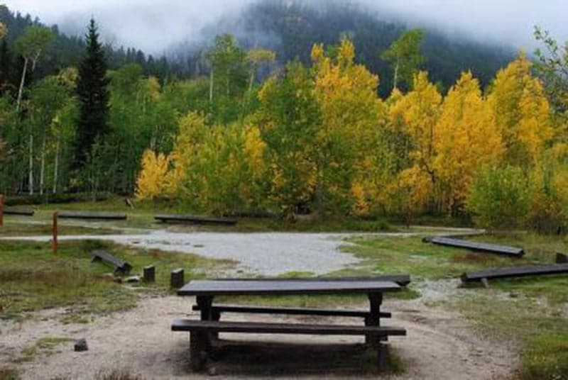 Picnic table with aspen trees with fall foliage
