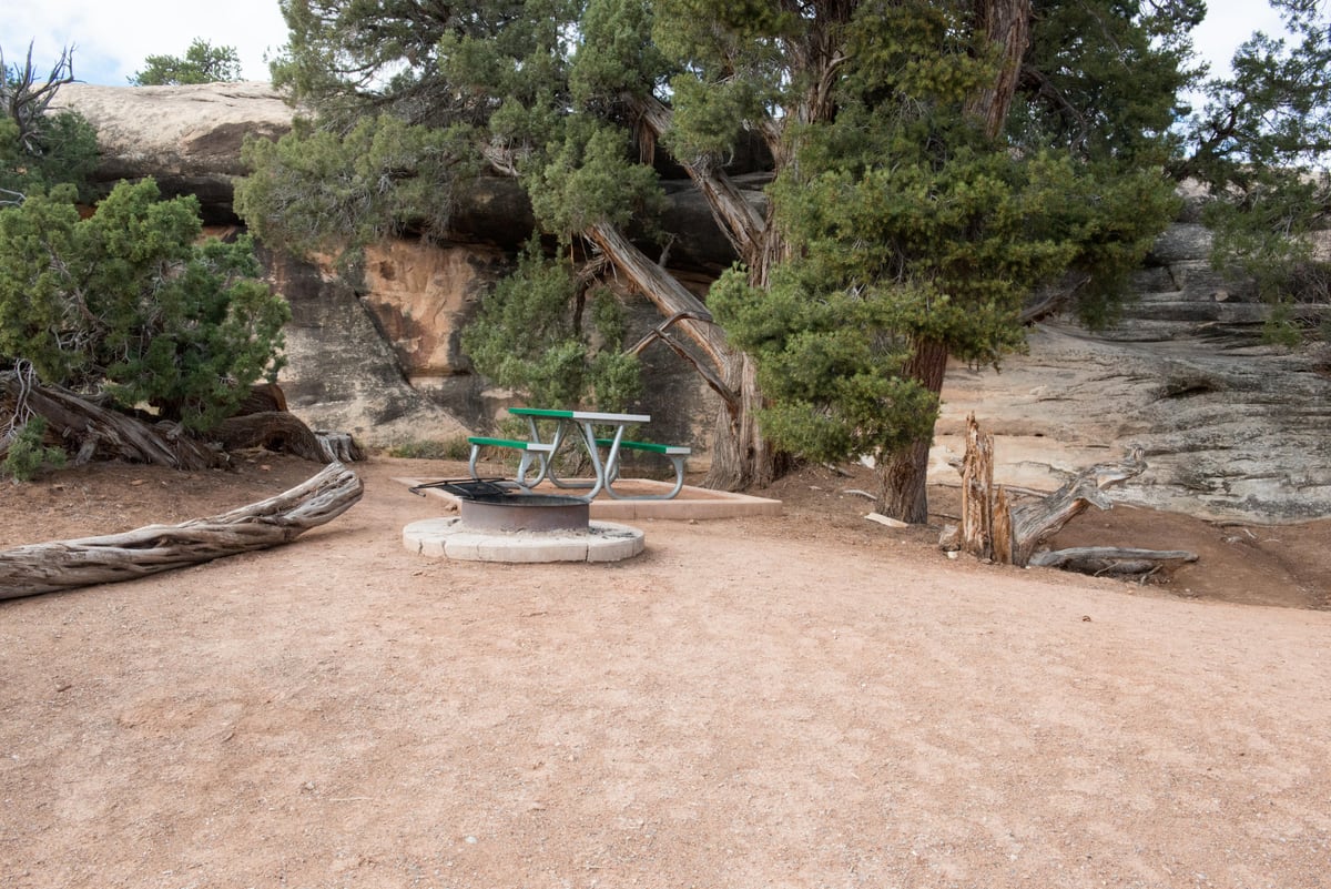 Gravel campsite with fire ring and picnic table at The Needles Campground