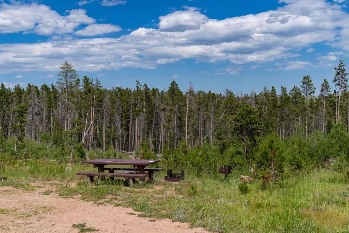 Picnic table, fire ring, and grill in a forest clearing at Yellow Pine Campground
