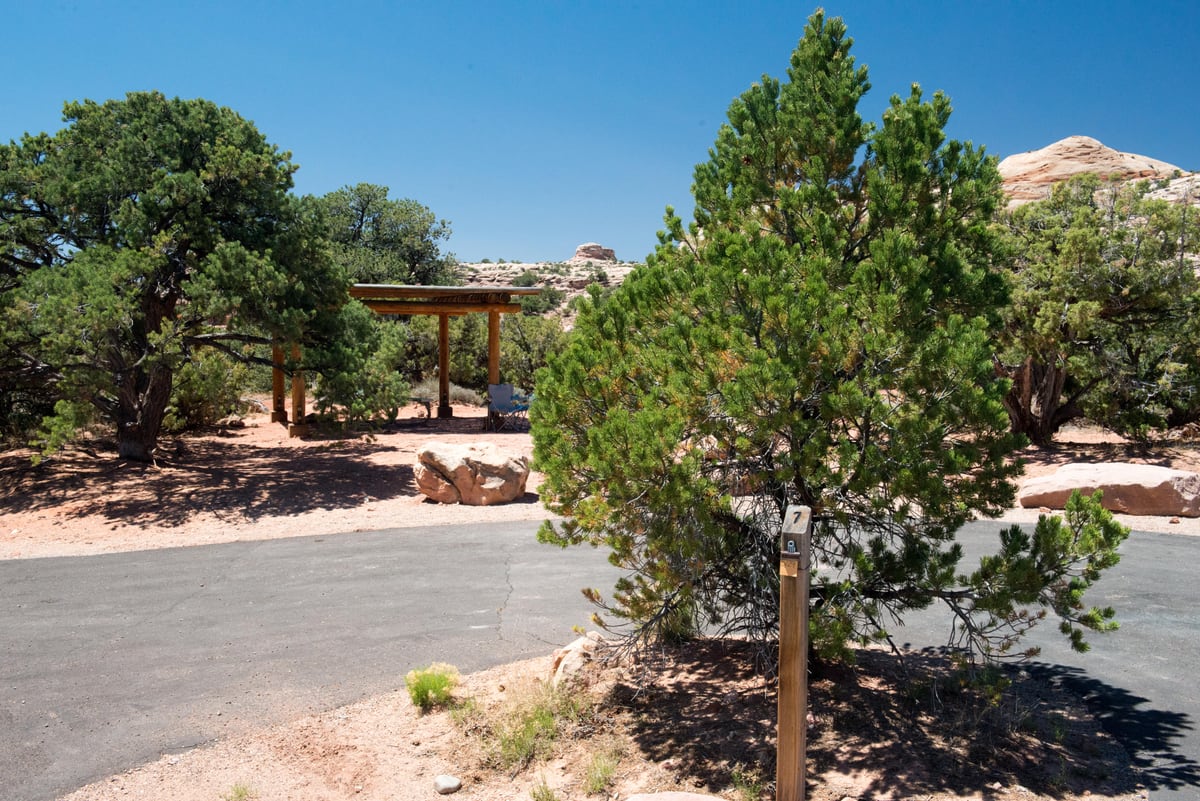 Paved campsite, juniper, and shade shelter at Willow Flat Campground