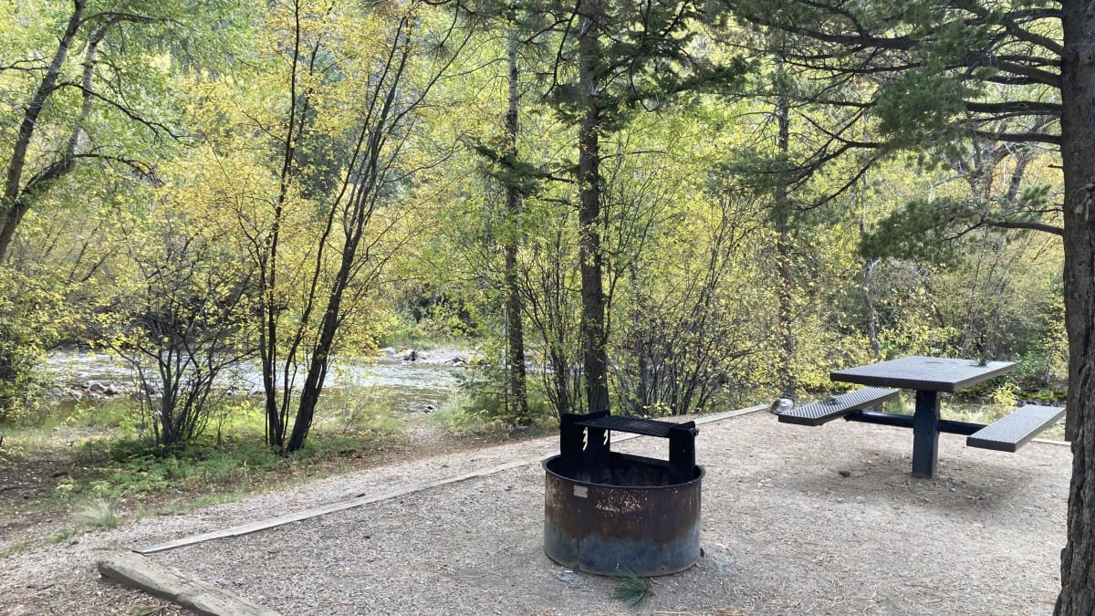 Campsite near creek surrounded by trees