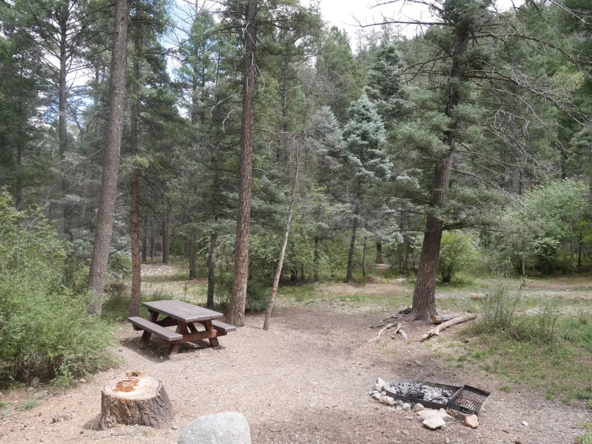 Picnic table and fire ring in a wooded campsite at Columbine Campground