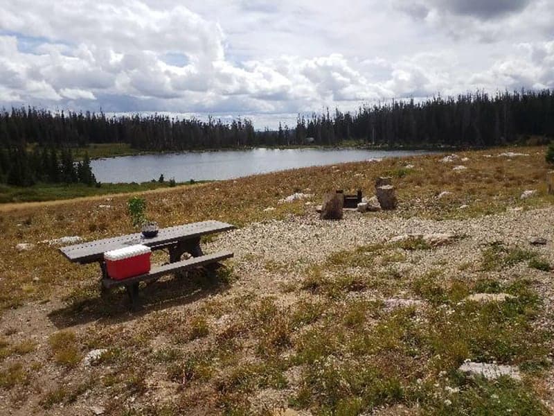 Picnic table and fire ring at a Brooklyn Lake campsite overlooking the lake