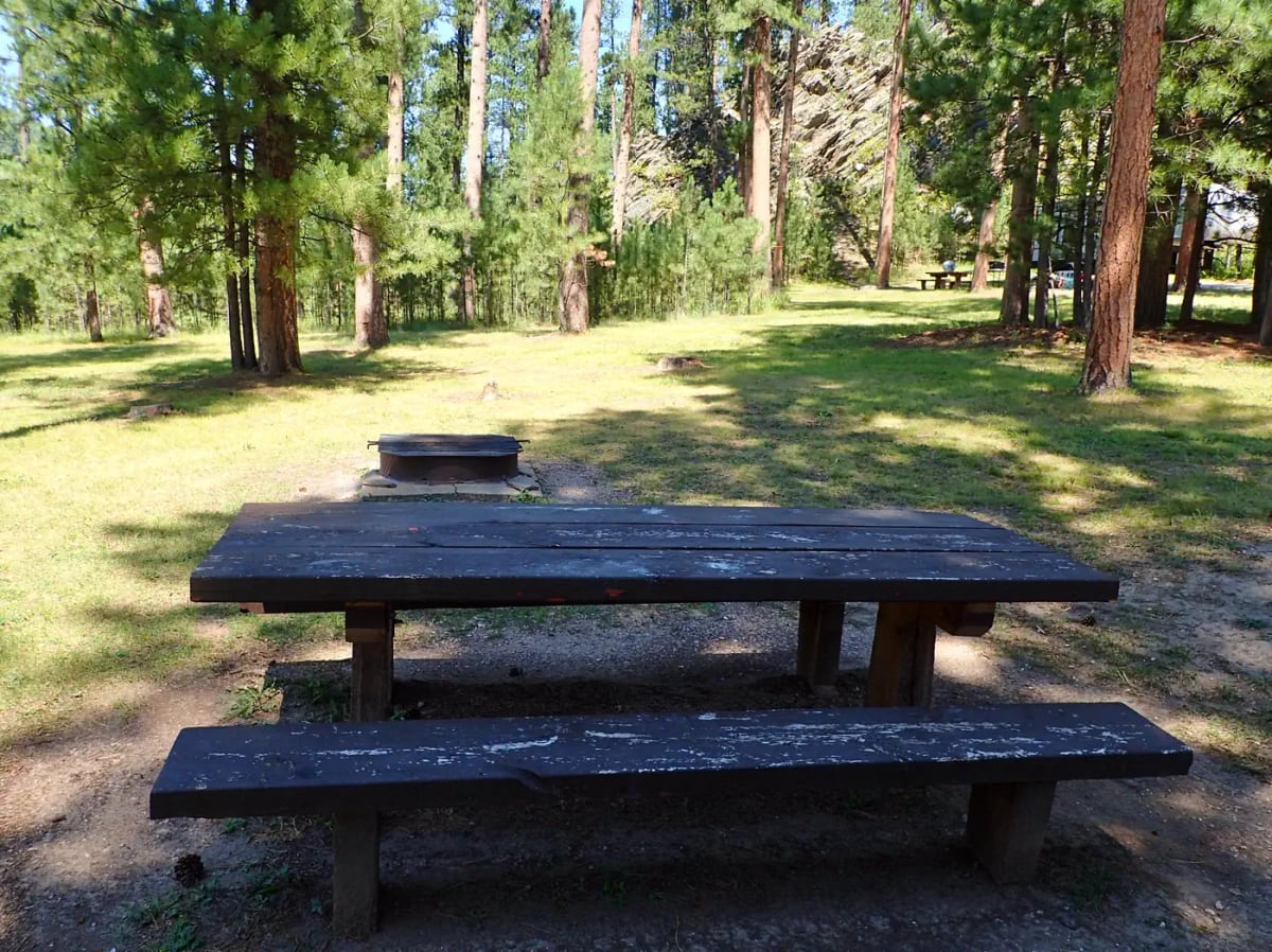 Picnic table and fire ring in a sunny ponderosa-pine campsite at Oreville Campground
