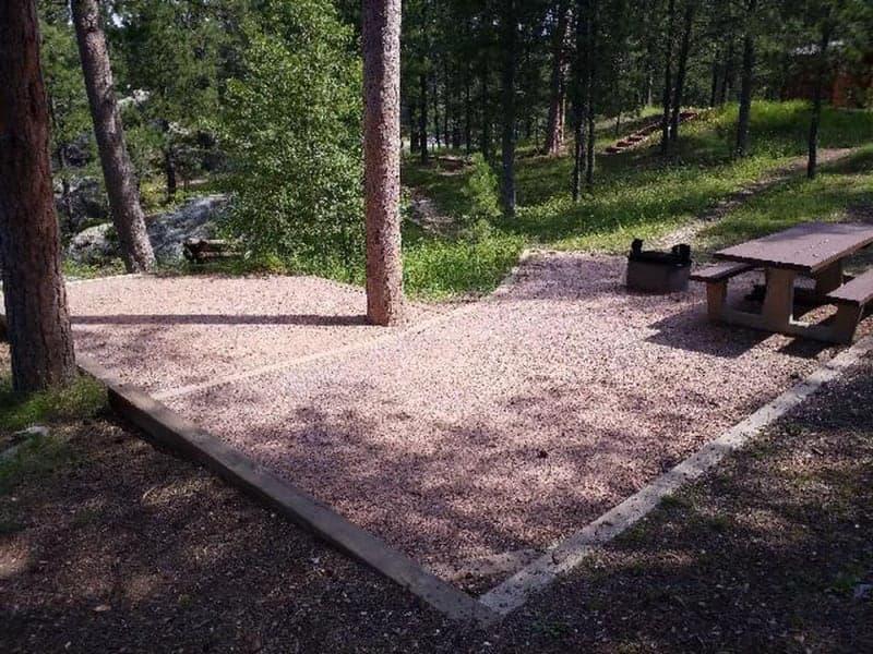 Picnic table and fire ring at wooded site 6 in Bismarck Lake Campground