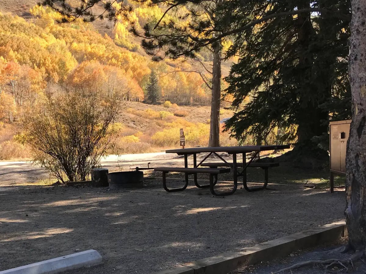 Picnic table, fire ring, and bear locker at Site 1 in Oh Be Joyful Campground amid golden fall foliage