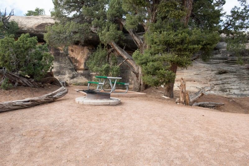 Gravel campsite with fire ring and picnic table at The Needles Campground