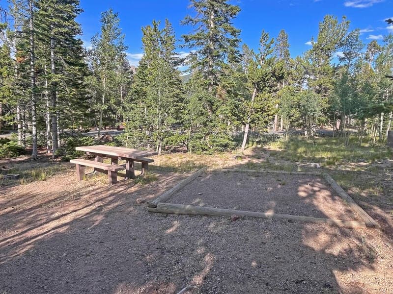 Tent pad and picnic table in a wooded Longs Peak Campground campsite