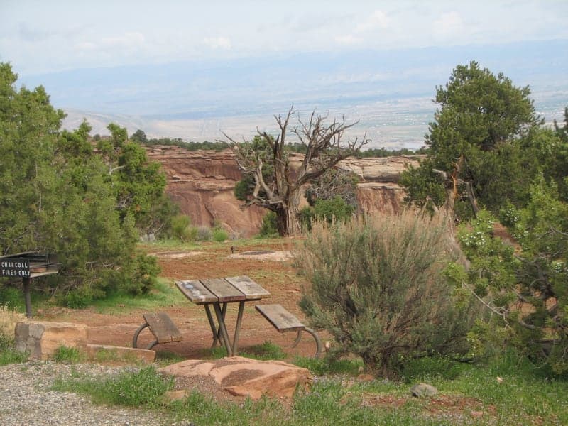 Picnic table among junipers overlooking the canyon at Saddlehorn Campground