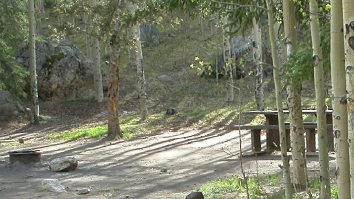 Clear Lake CG. A campsite at Clear Lake with a picnic table and fire pit.