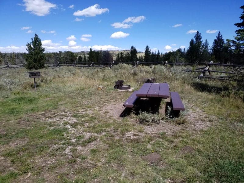 Picnic table, fire ring, and grill at site 14 in Tie City Campground