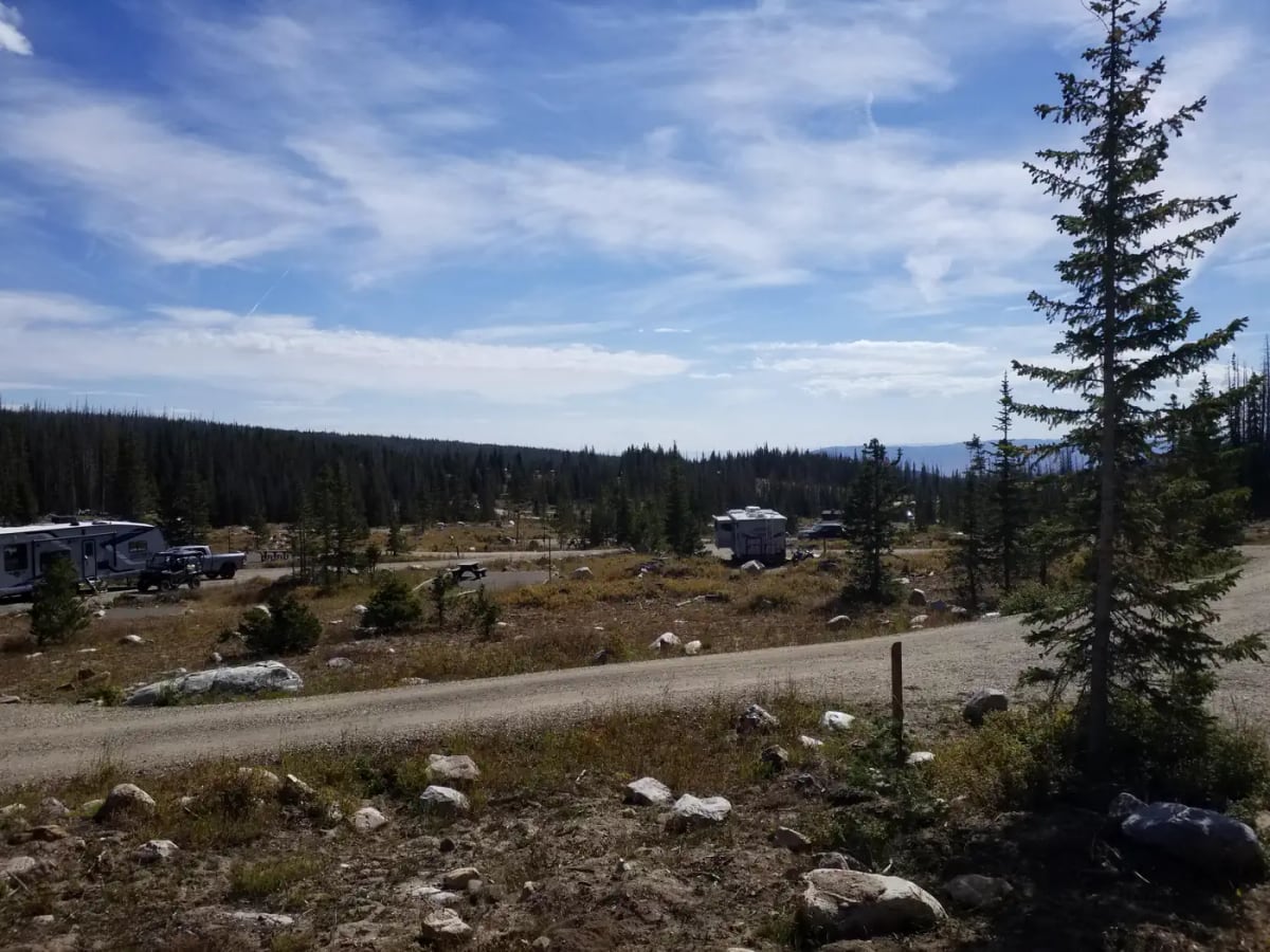 RVs and campsites spread across Nash Fork Campground near site 18