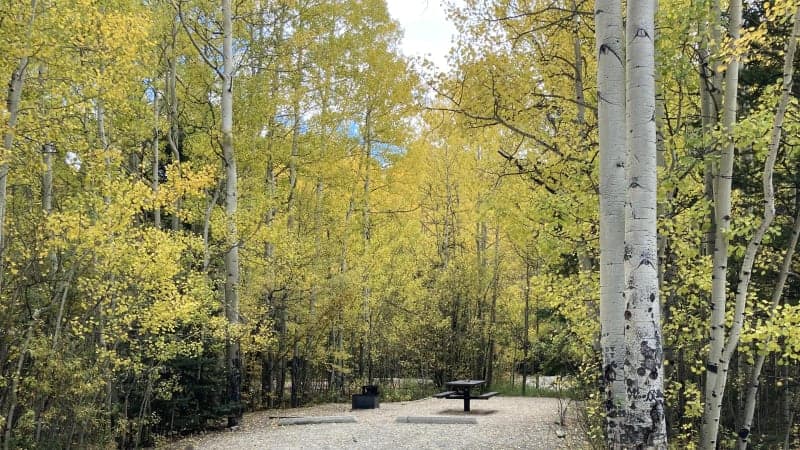 Campground, fall foliage, picnic table, fire pit