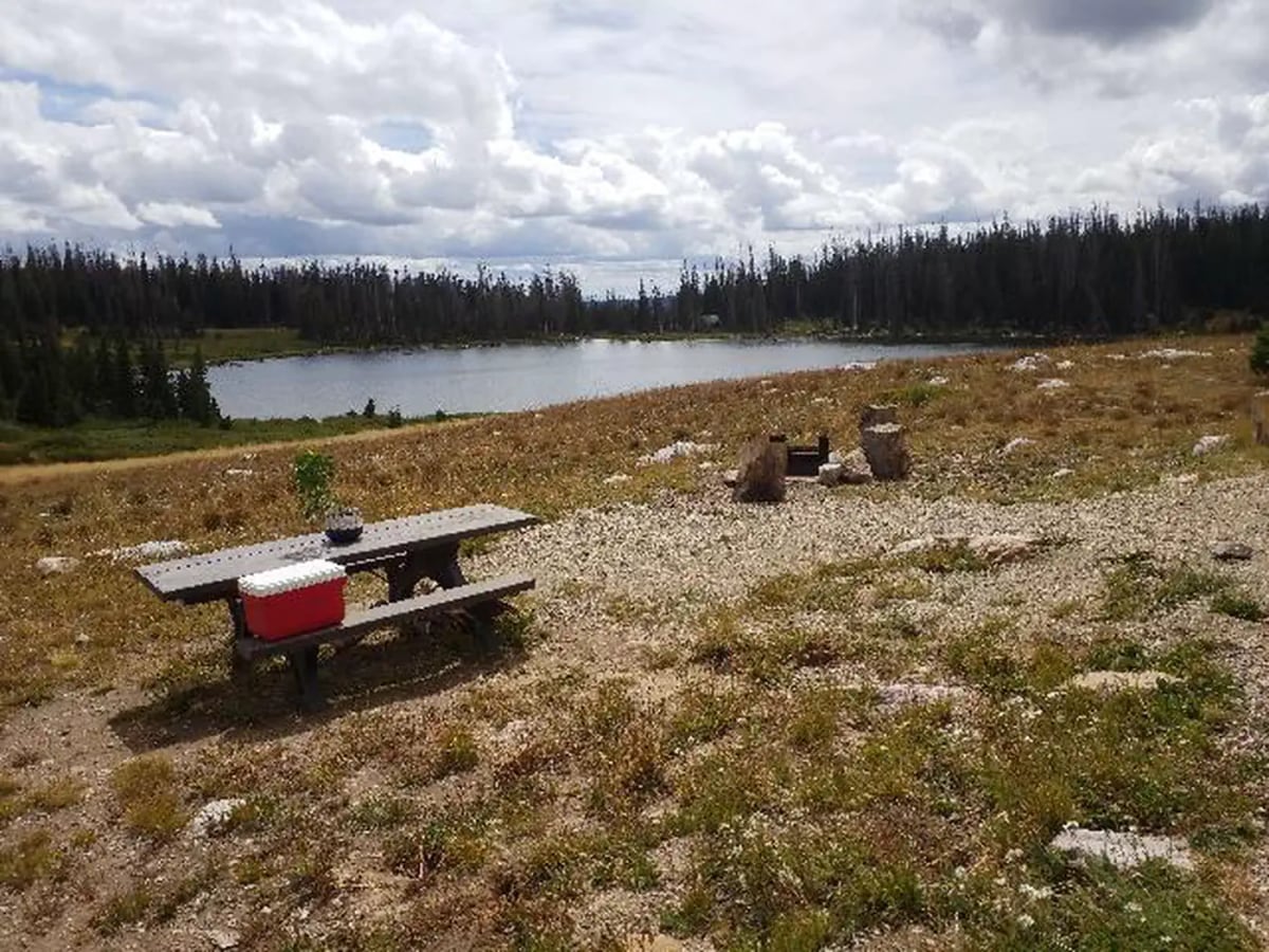 Picnic table and fire ring at a Brooklyn Lake campsite overlooking the lake