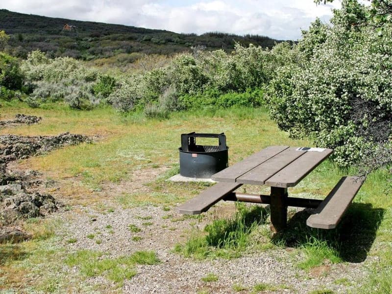Picnic table and fire ring in a brush-lined campsite at South Rim Campground