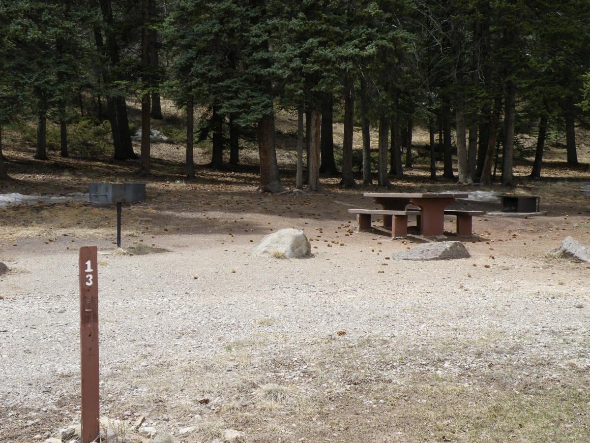 A picnic table, grill, and fire ring sit beneath evergreens at Bristol Head Campground.