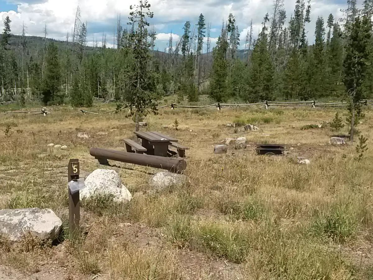 Picnic table and fire ring at site 5 in Hinman Campground