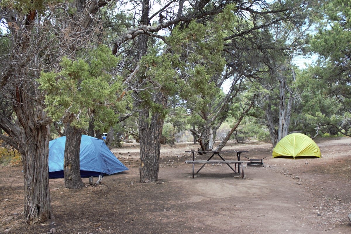 Two tents and a picnic table among pinyon and juniper at North Rim Campground