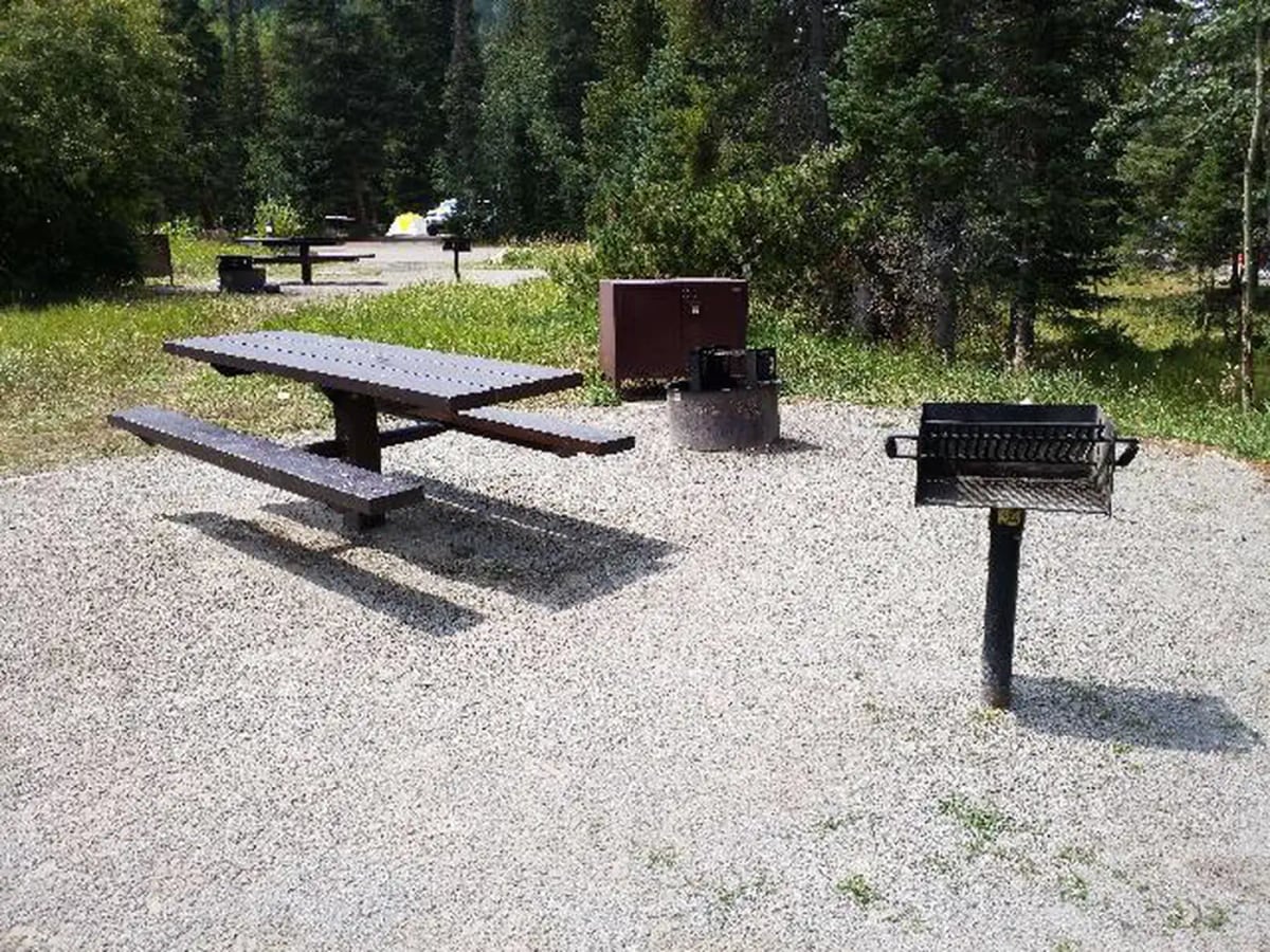 Picnic table and grill in a forested campsite at Camp Dick Campground